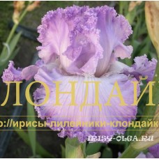 LAVANDOVAYA IMPERIA ( ЛАВАНДОВАЯ ИМПЕРИЯ )