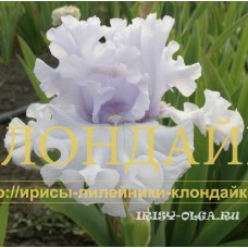 LEDIANOY POKROV ( ЛЕДЯНОЙ ПОКРОВ )