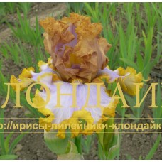 LEDNIKOVAYA PESHCHERA
