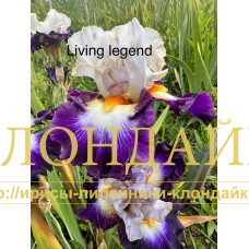 LIVING LEGEND