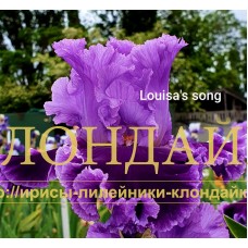 LOUISA'S SONG