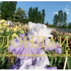 LOVE LILT