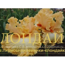 LUNNY KRATER ( ЛУННЫЙ КРАТЕР )