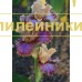 LUXURIANT LOTHARIO