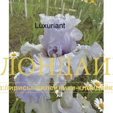 LUXURIANT