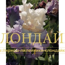 LYUSEN'KA ( ЛЮСЕНЬКА ) 