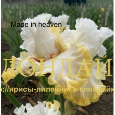 MADE IN HEAVEN
