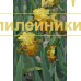 MARKETKA