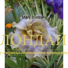 MARY CONTRARY