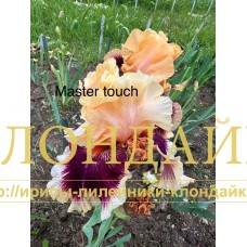 MASTER'S TOUCH