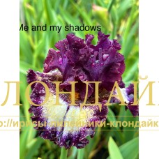 ME AND MY SHADOW