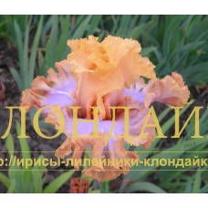 MILAYA LYUDIAM ( МИЛАЯ ЛЮДЯМ )