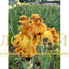 MISS SLOVAKIA