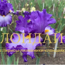 MYSTIC WIND