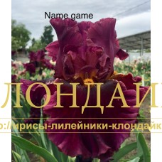 NAME GAME