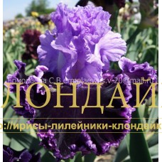 NE PROHODY MIMO ( НЕ ПРОХОДИ МИМО )