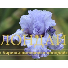 NEBESNAYA PESNIA