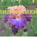 NEPRERYVNY KASKAD ( Непрерывный каскад )