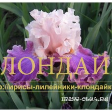 ODNAZHDY PRIDIOSH ( ОДНАЖДЫ ПРИДЕШЬ )