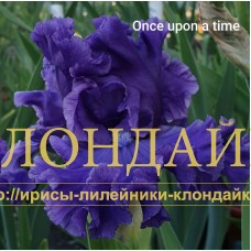 ONCE UPON A TIME
