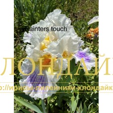 PAINTER'S TOUCH