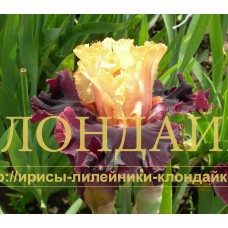PARK RAZVLECHENIY ( Парк развлечений )
