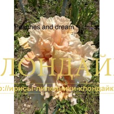 PEACHES AND DREAMS