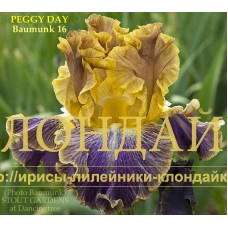 PEGGY DAY