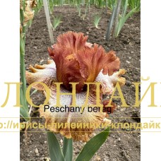 PESCHANY BEREG