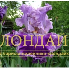 PIRATSKAYA BUKHTA (Пиратская бухта)