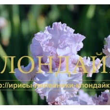 POEM OF LOVE