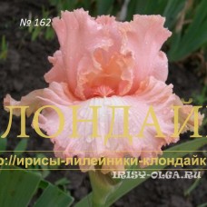 POLET FLAMINGO ( ПОЛЕТ ФЛАМИНГО )