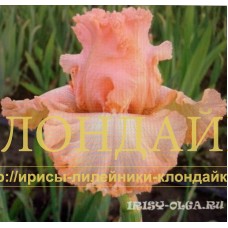 PREKRASNAYA DEVA