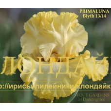 PRIMALUNA 