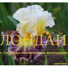 PRINCESS OF JAZLAND