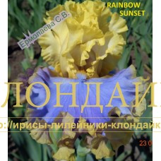 RAINBOW SUNSET