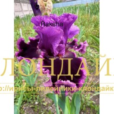RAKSHA