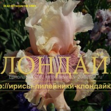 READ BETWEEN THE LINES