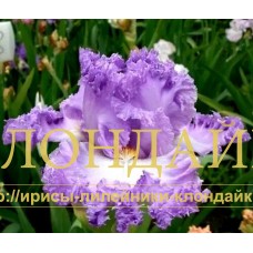 REZNOY PALISAD (Резной палисад)