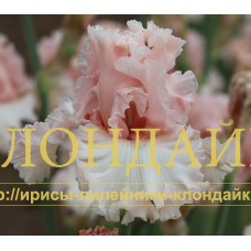 ROMANTIC LEAD