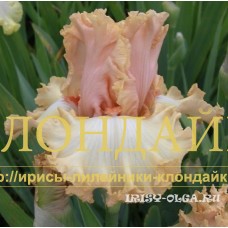 ROZOVYI KHRUSTAL ( РОЗОВЫЙ ХРУСТАЛЬ )