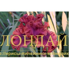 RUBINOVY MINERAL (Рубиновый минерал)
