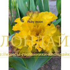 RUBY MOON