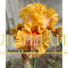 SAILOR'S WARNING