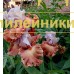 SIRTAKI (Сиртаки)
