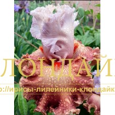 SIRTAKI (Сиртаки)