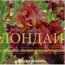 SMOKY SHADOWS
