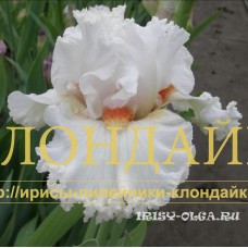 SNEGOVIK ( СНЕГОВИК )