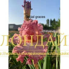SOCIAL GRACES