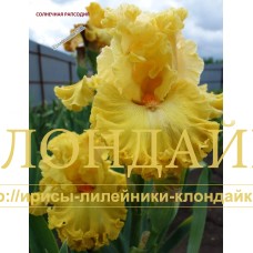 SOLNECHNAYA RAPSODIYA ( Солнечная рапсодия)